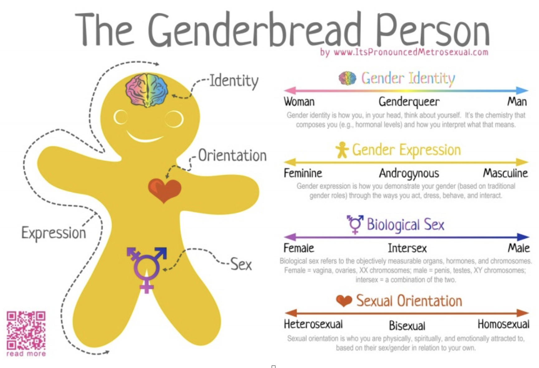 Gingerbread person with labelled parts of their body as their identity, sex, orientation and expression