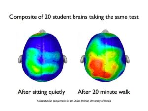 two brain scans, one shows the brain after sitting quietly before taking a test and the other shows the brain after 20 minutes walking before the test. The brain after walking is more active 
